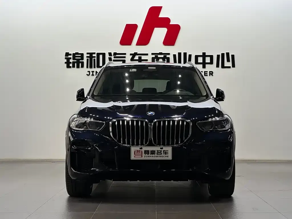 BMW X5 (Import) 2021 из CN, фото 2