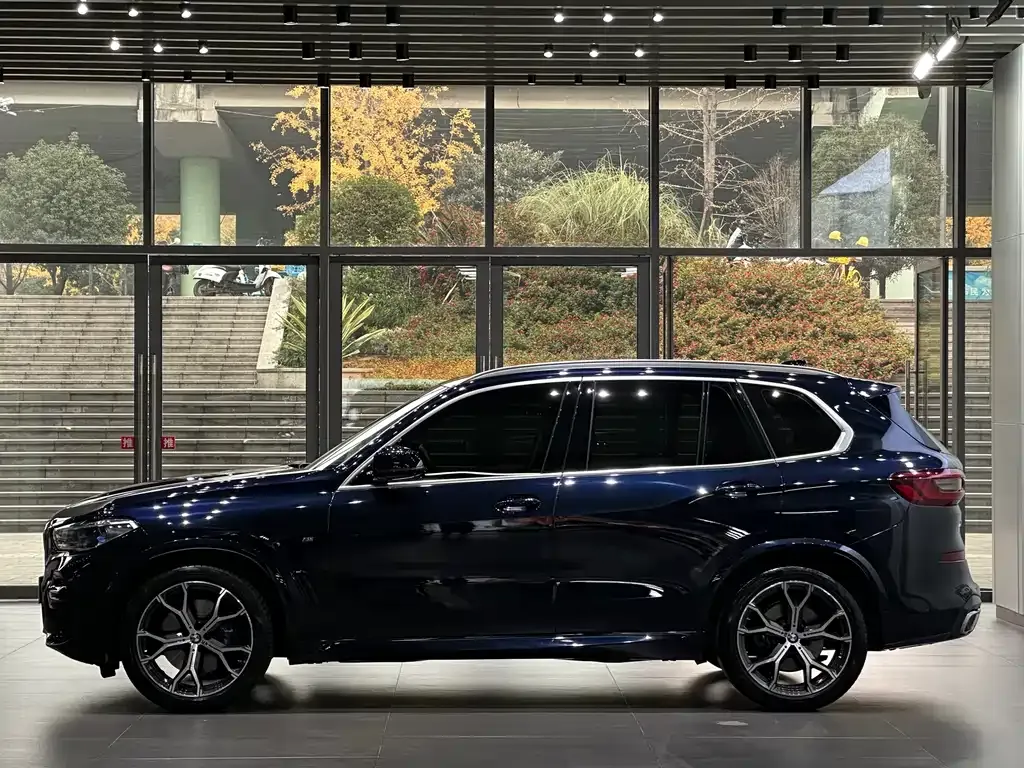 BMW X5 (Import) 2021 из CN, фото 9