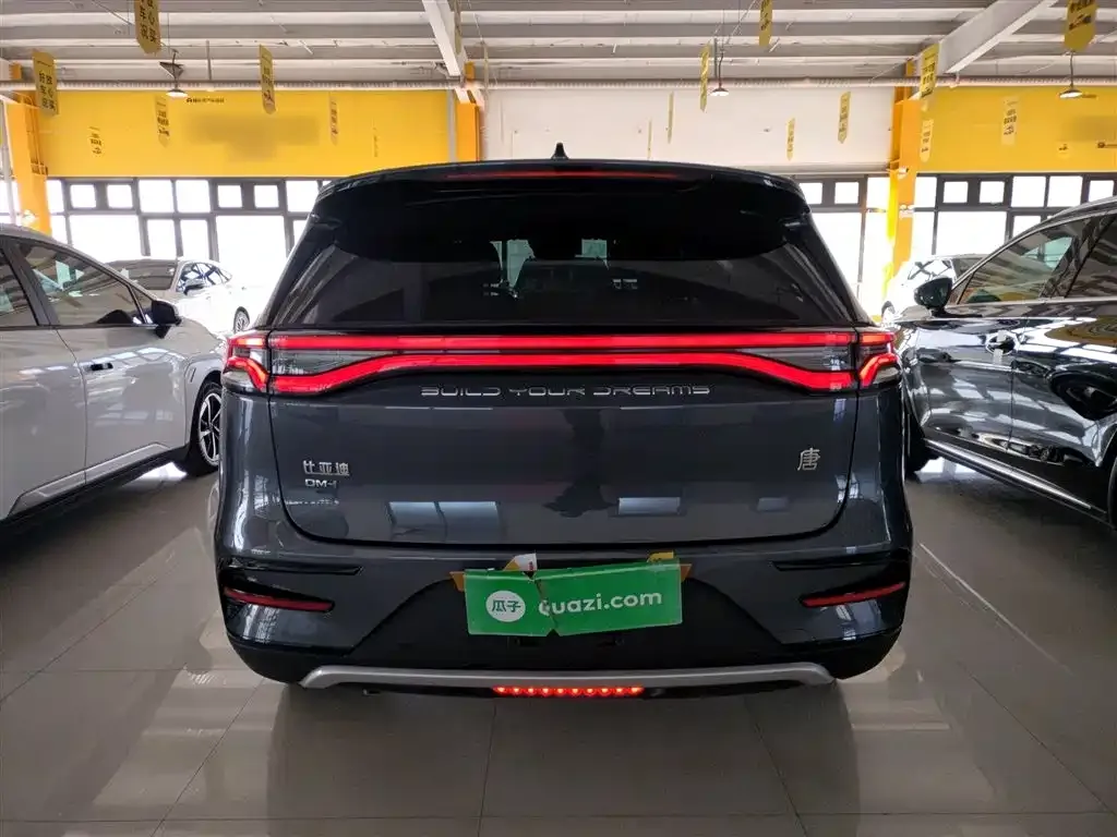 BYD Tang New Energy 2023 из CN, фото 4