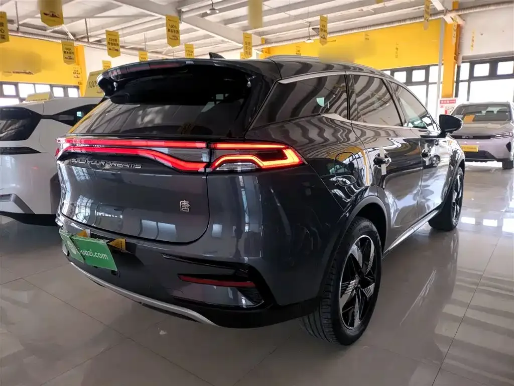 BYD Tang New Energy 2023 из CN, фото 10