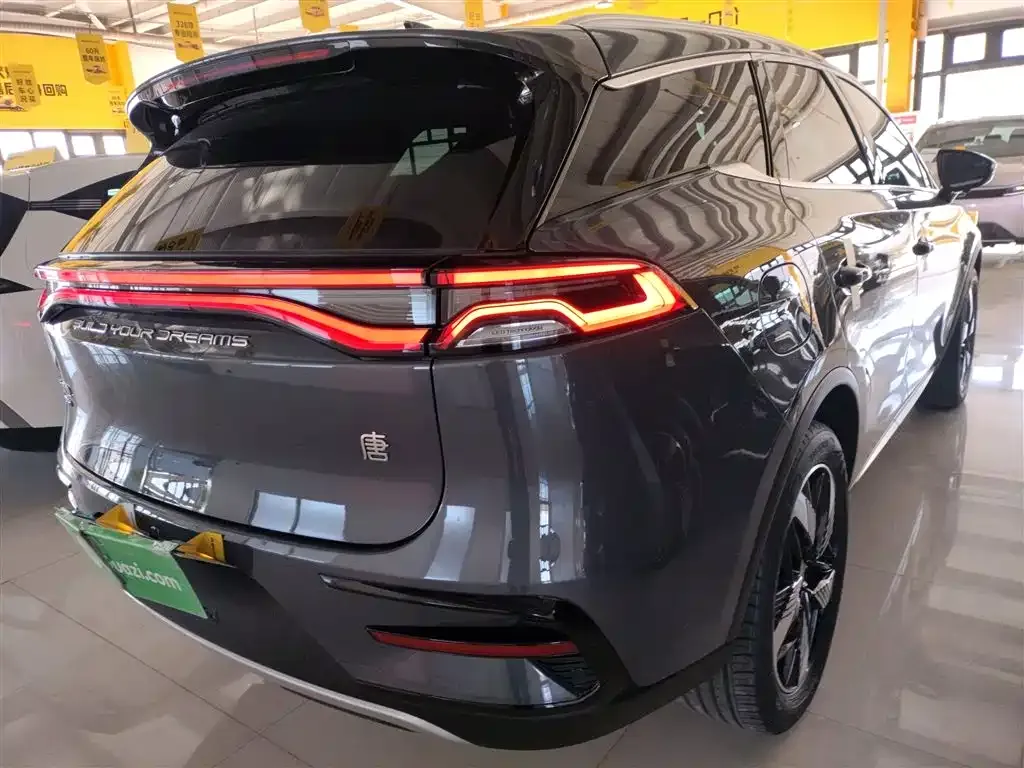 BYD Tang New Energy 2023 из CN, фото 7