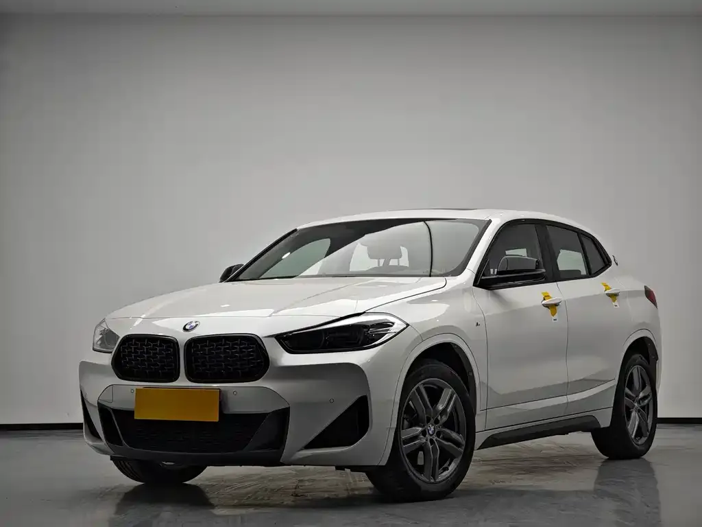 BMW X2 2023 из CN, фото 1