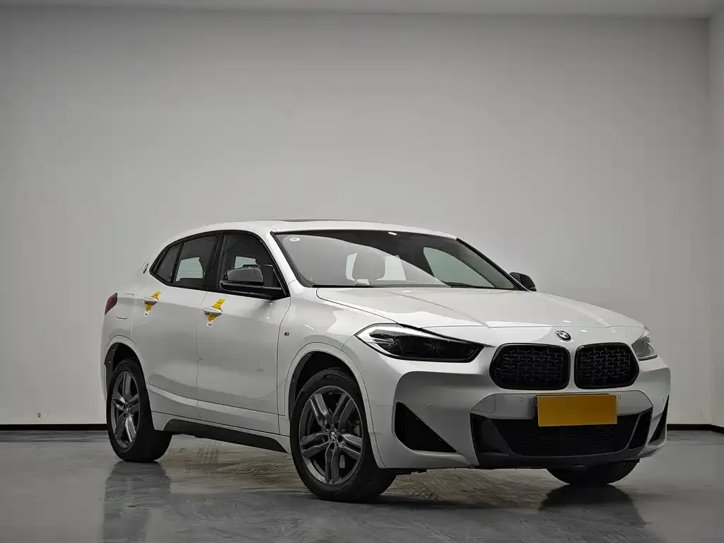 BMW X2 2023 из CN, фото 4