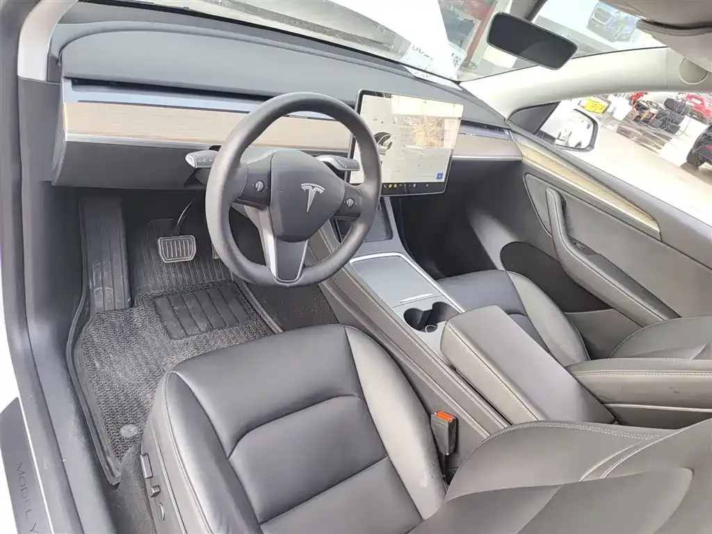 Tesla Model Y 2021 из CN, фото 10