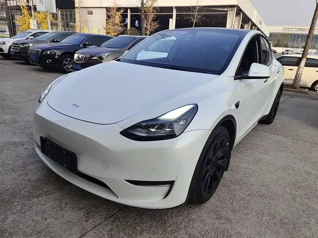 Tesla Model Y 2021 из CN, фото 2