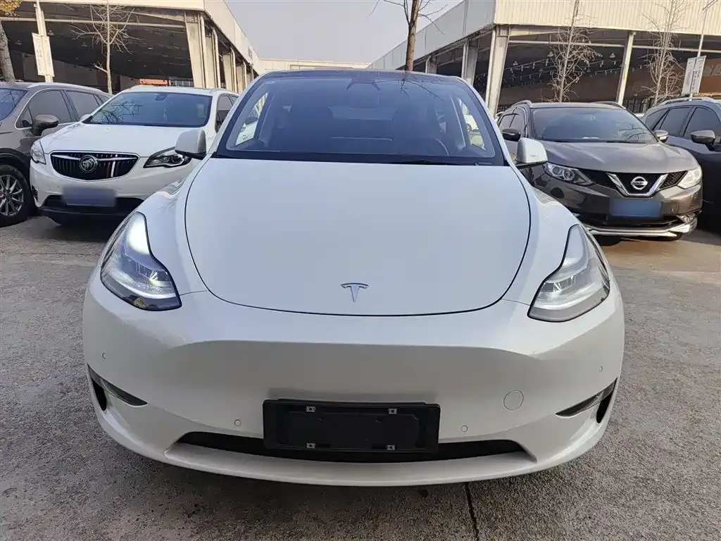 Tesla Model Y 2021 из CN, фото 3