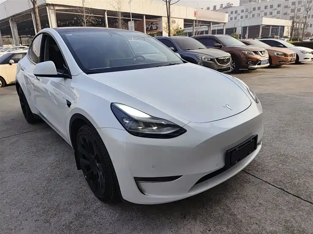 Tesla Model Y 2021 из CN, фото 4