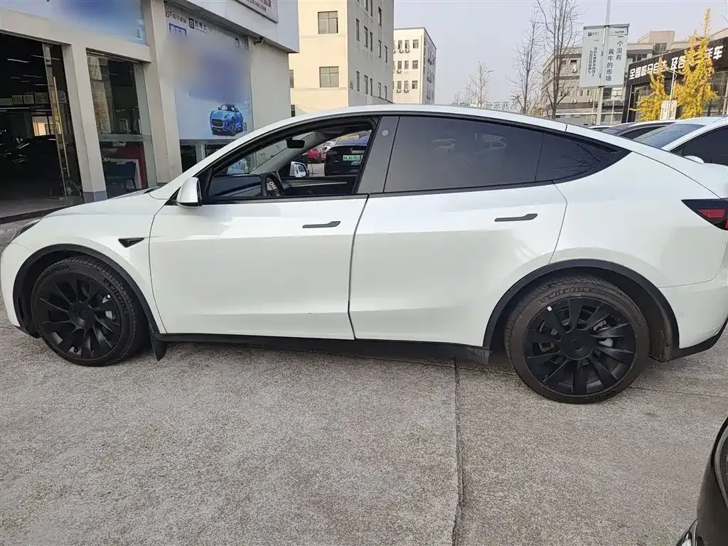 Tesla Model Y 2021 из CN, фото 5