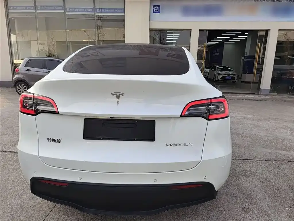Tesla Model Y 2021 из CN, фото 6