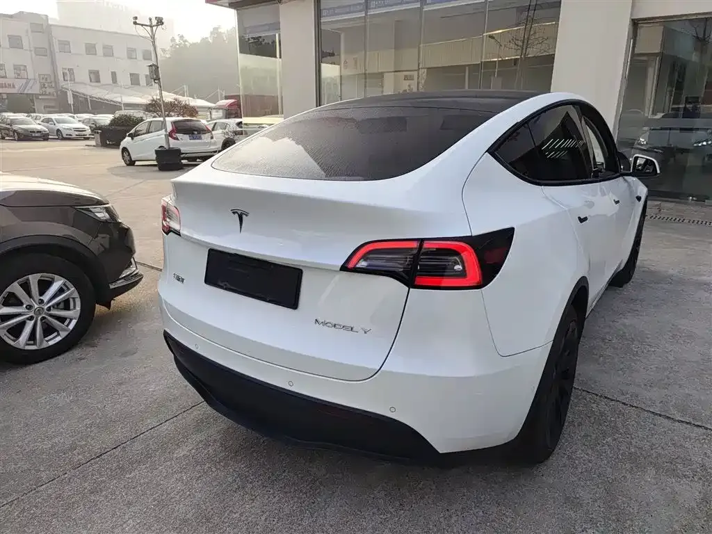 Tesla Model Y 2021 из CN, фото 7