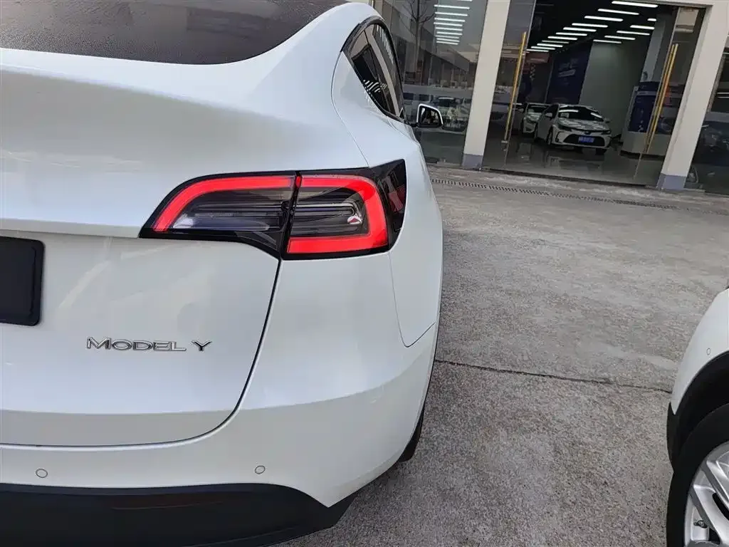 Tesla Model Y 2021 из CN, фото 8