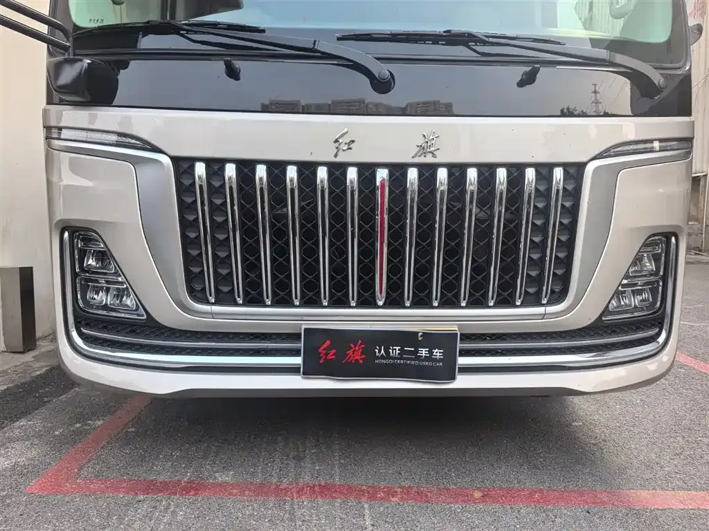 Hongqi Golden Sunflower Guoyue 2025 из CN, фото 8