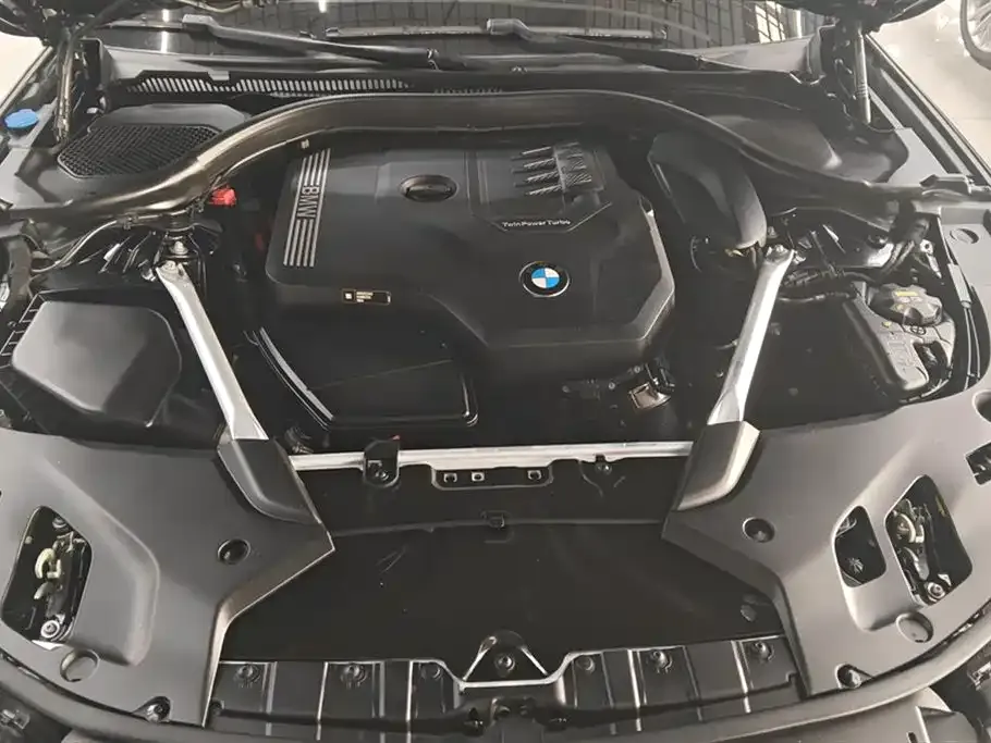 BMW 5 Series 2021 из CN, фото 6