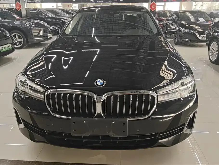 BMW 5 Series 2021 из CN, фото 10