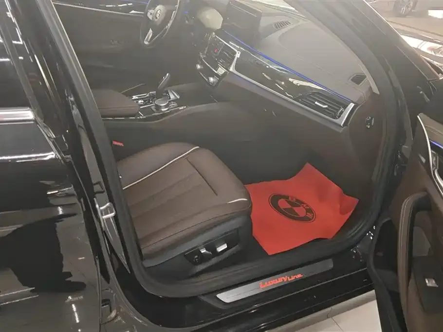 BMW 5 Series 2021 из CN, фото 8