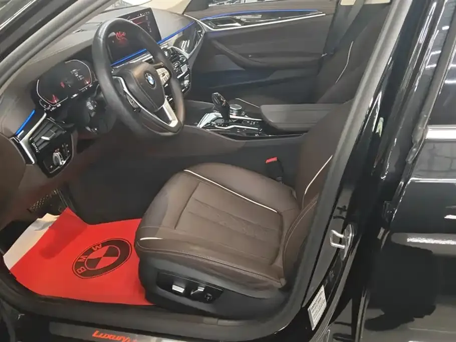 BMW 5 Series 2021 из CN, фото 9