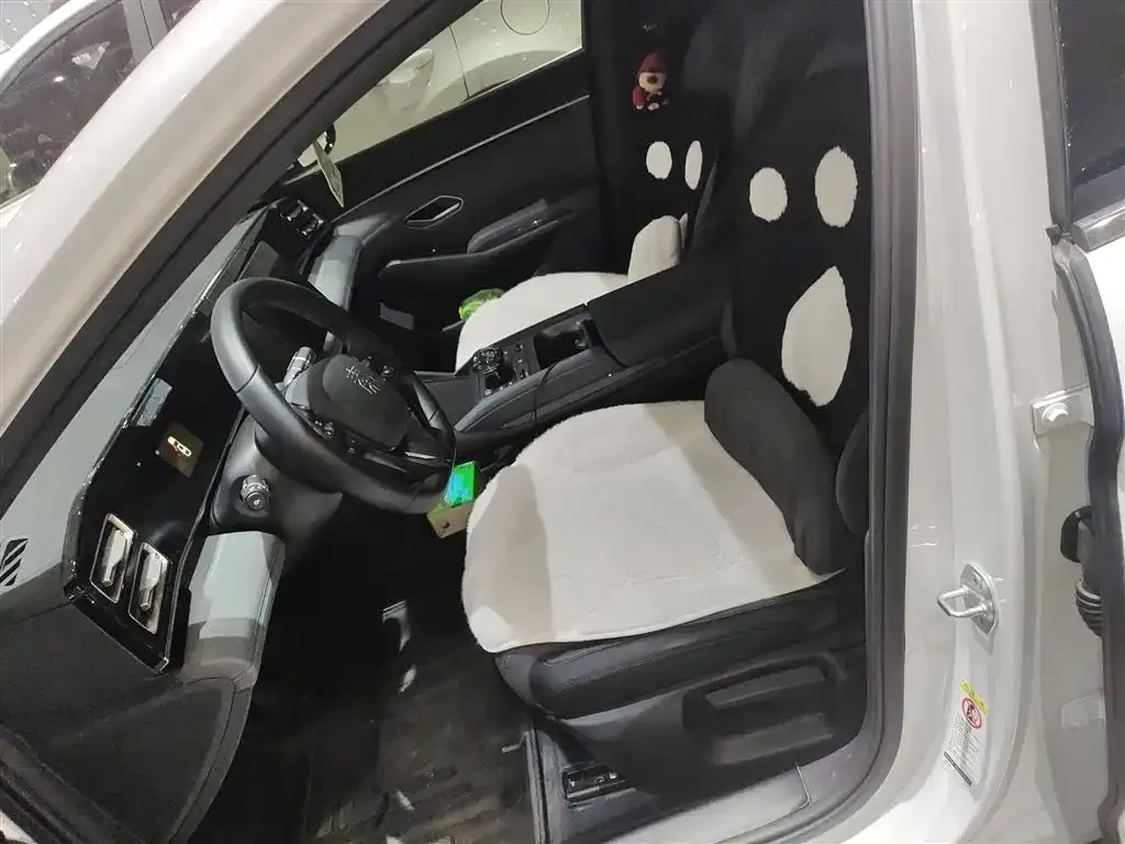 BYD Qin L 2024 из CN, фото 6