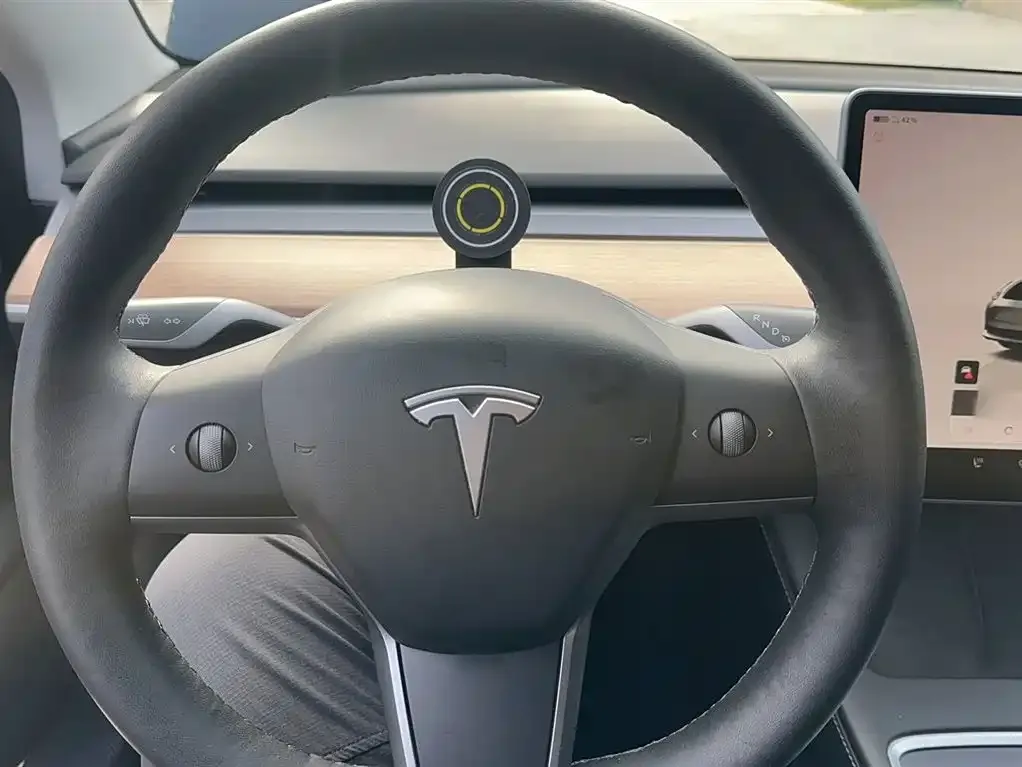 Tesla Model 3 2022 из CN, фото 3