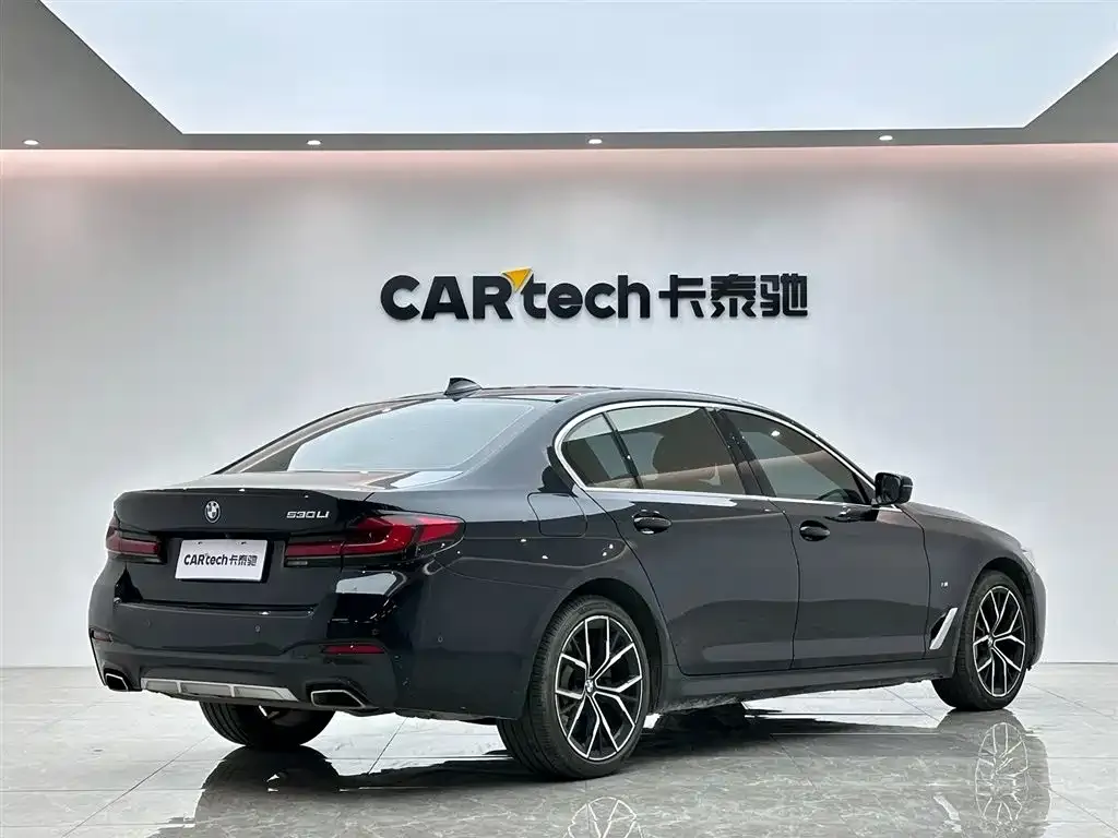 BMW 5 Series 2023 из CN, фото 5