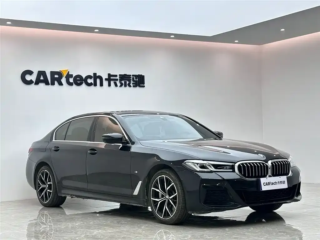 BMW 5 Series 2023 из CN, фото 6