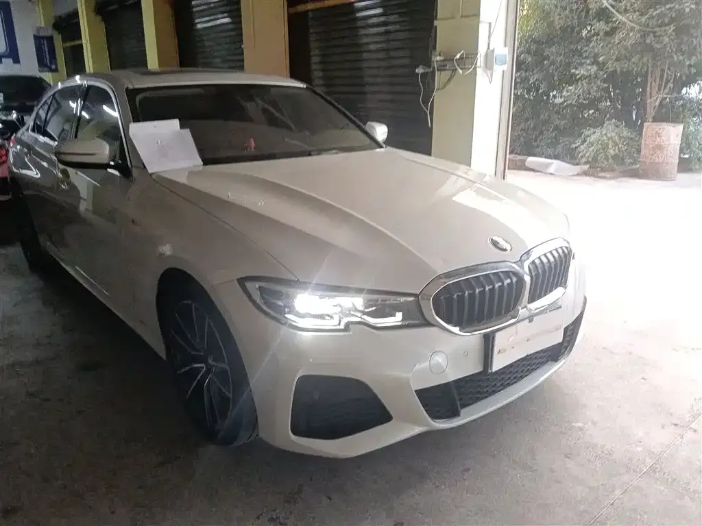 BMW 3 Series 2021 из CN, фото 7