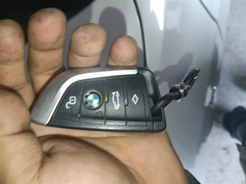 BMW 3 Series 2021 из CN, фото 10
