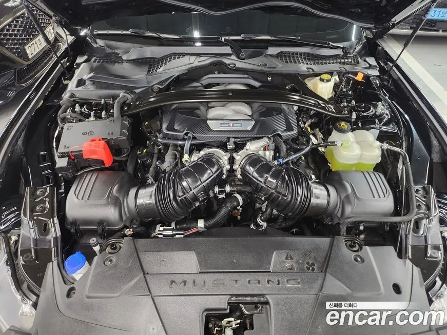 Ford Mustang 2024 из KR, фото 7