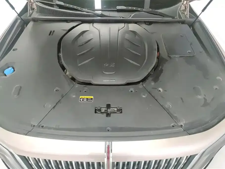 Hongqi H9 2022 из CN, фото 3