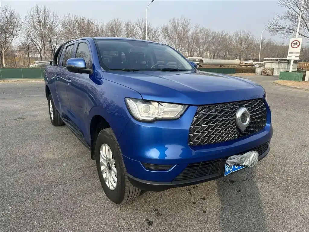 Great Wall Pao 2021 из CN, фото 10