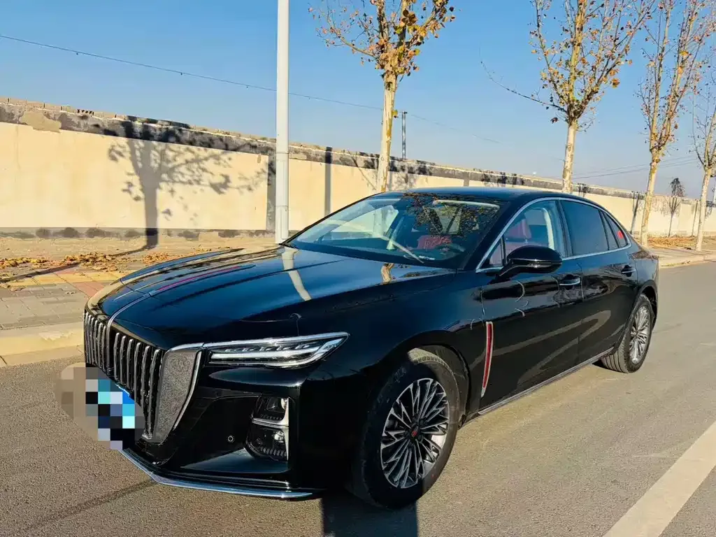 Hongqi H5 2024 из CN, фото 1