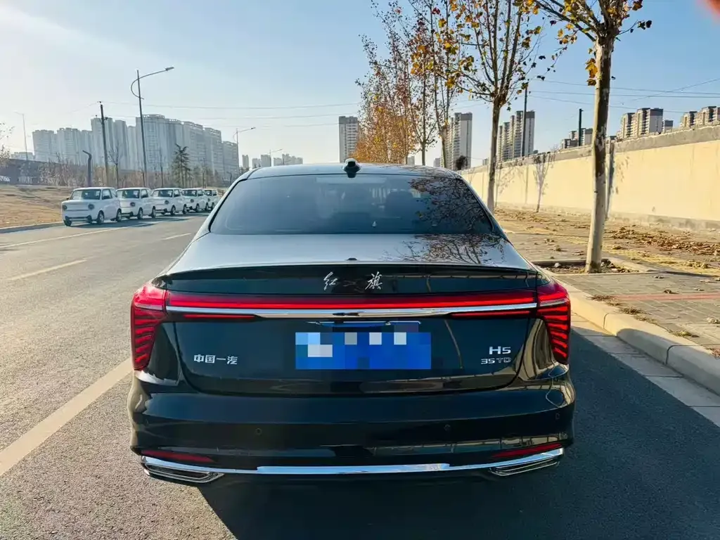 Hongqi H5 2024 из CN, фото 6