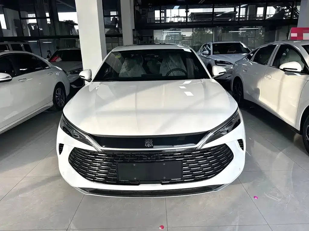 BYD Qin L — фото 2