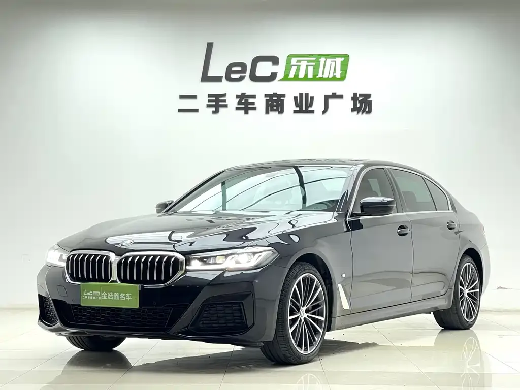 BMW 5 Series 2021 из CN, фото 1
