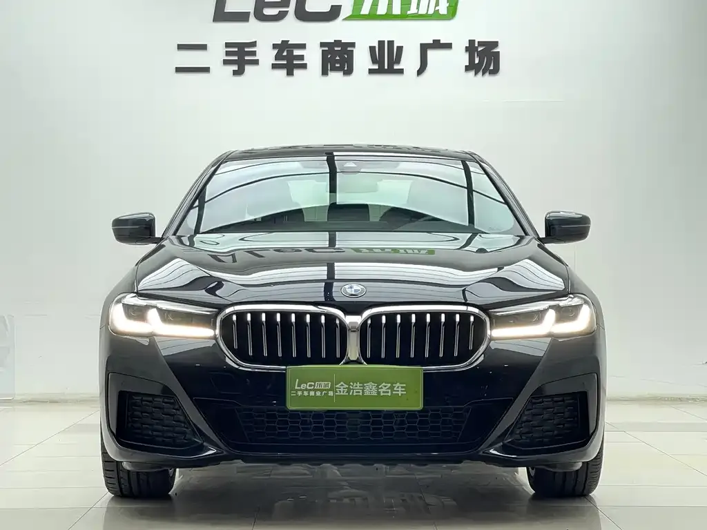 BMW 5 Series 2021 из CN, фото 3