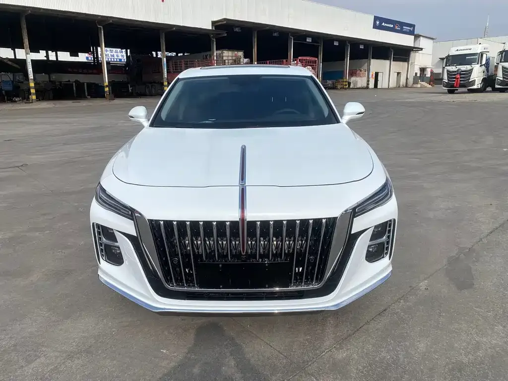 Hongqi H5 2024 из CN, фото 2
