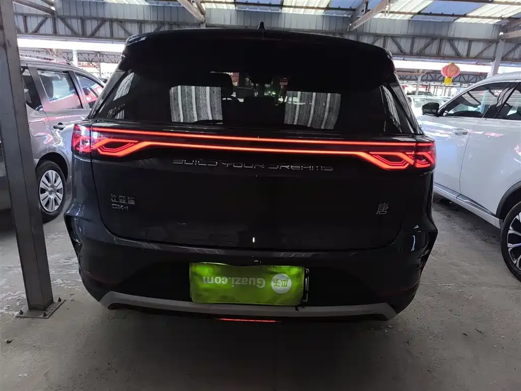BYD Tang New Energy 2024 из CN, фото 3