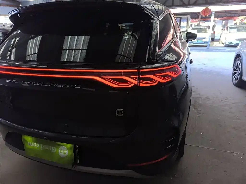 BYD Tang New Energy 2024 из CN, фото 4