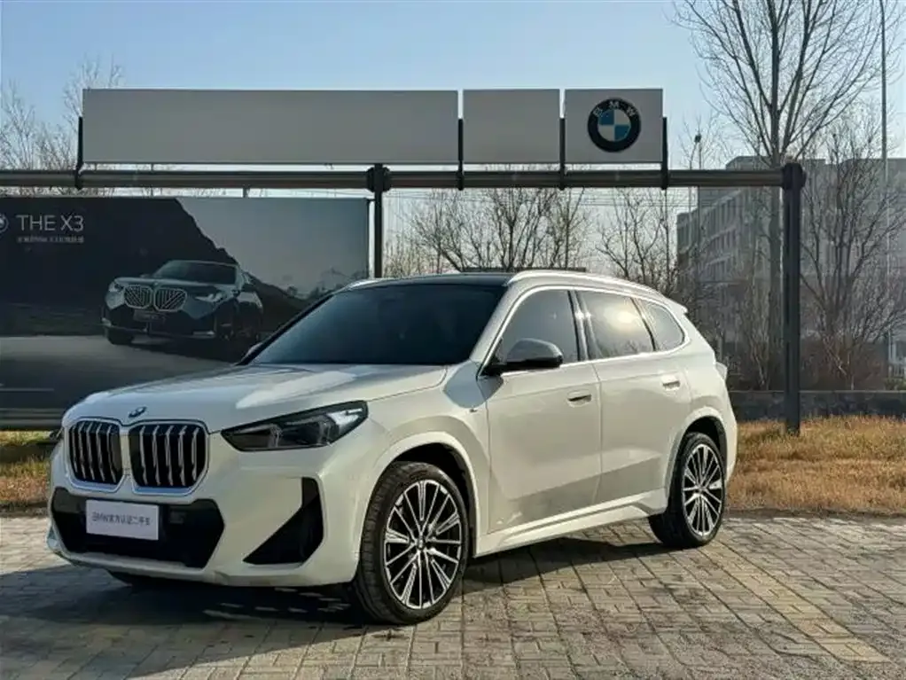 BMW X1 2023 из CN, фото 10