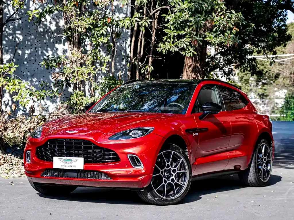 Aston Martin DBX 2021 из CN, фото 1