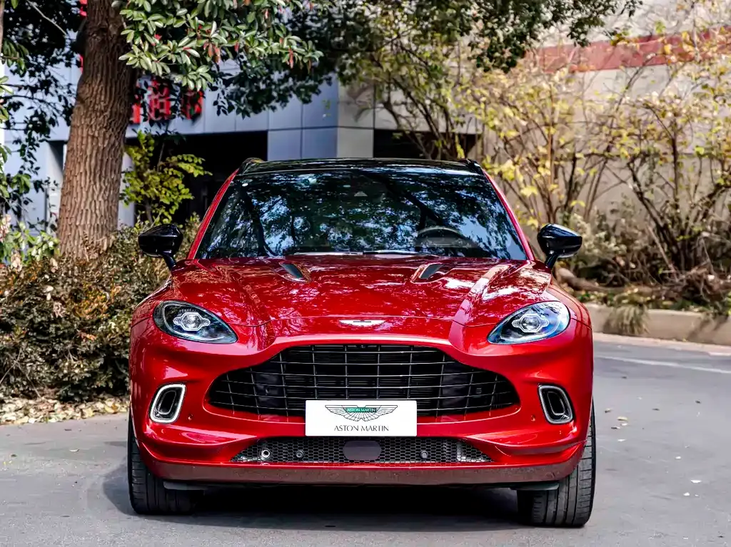 Aston Martin DBX 2021 из CN, фото 7