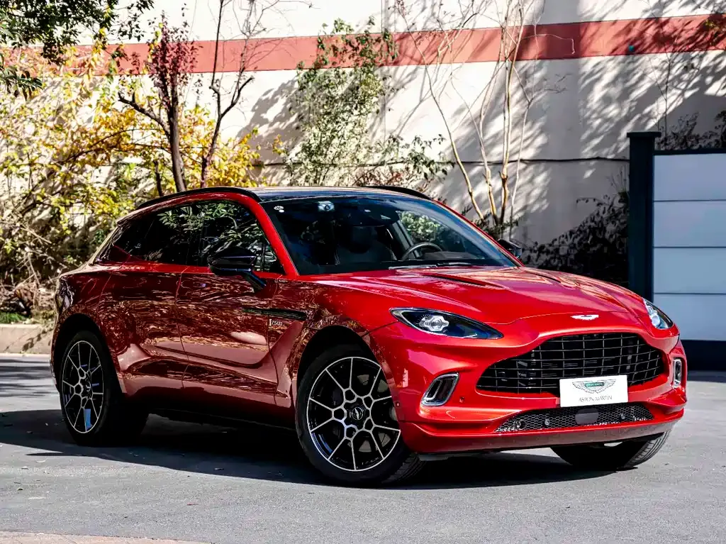 Aston Martin DBX 2021 из CN, фото 9