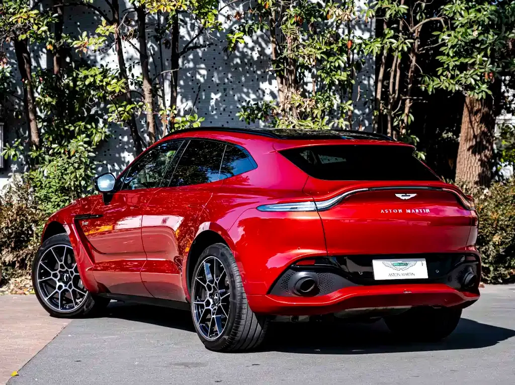 Aston Martin DBX 2021 из CN, фото 10