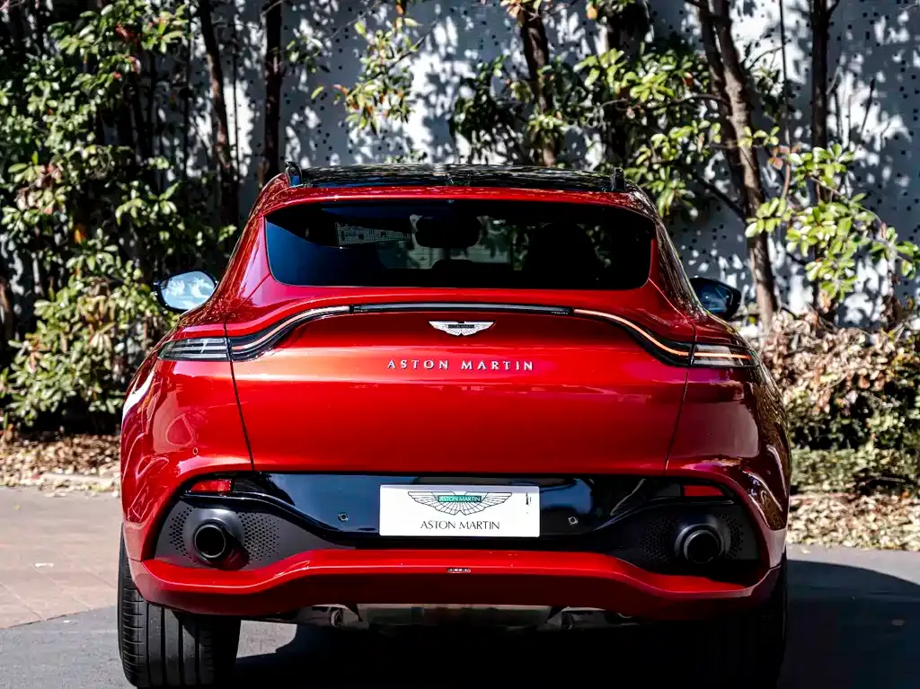 Aston Martin DBX 2021 из CN, фото 8