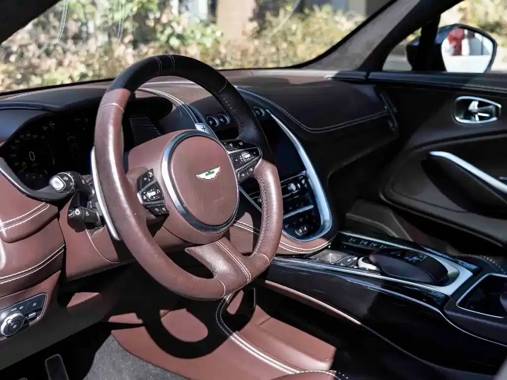 Aston Martin DBX 2021 из CN, фото 4