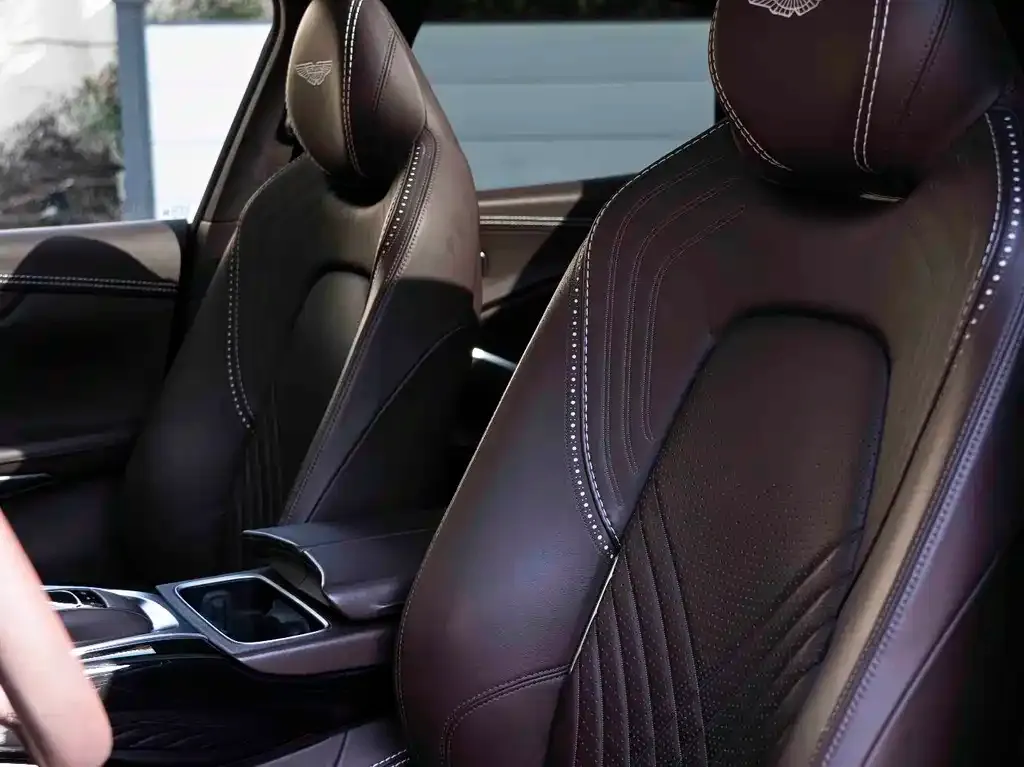 Aston Martin DBX 2021 из CN, фото 5
