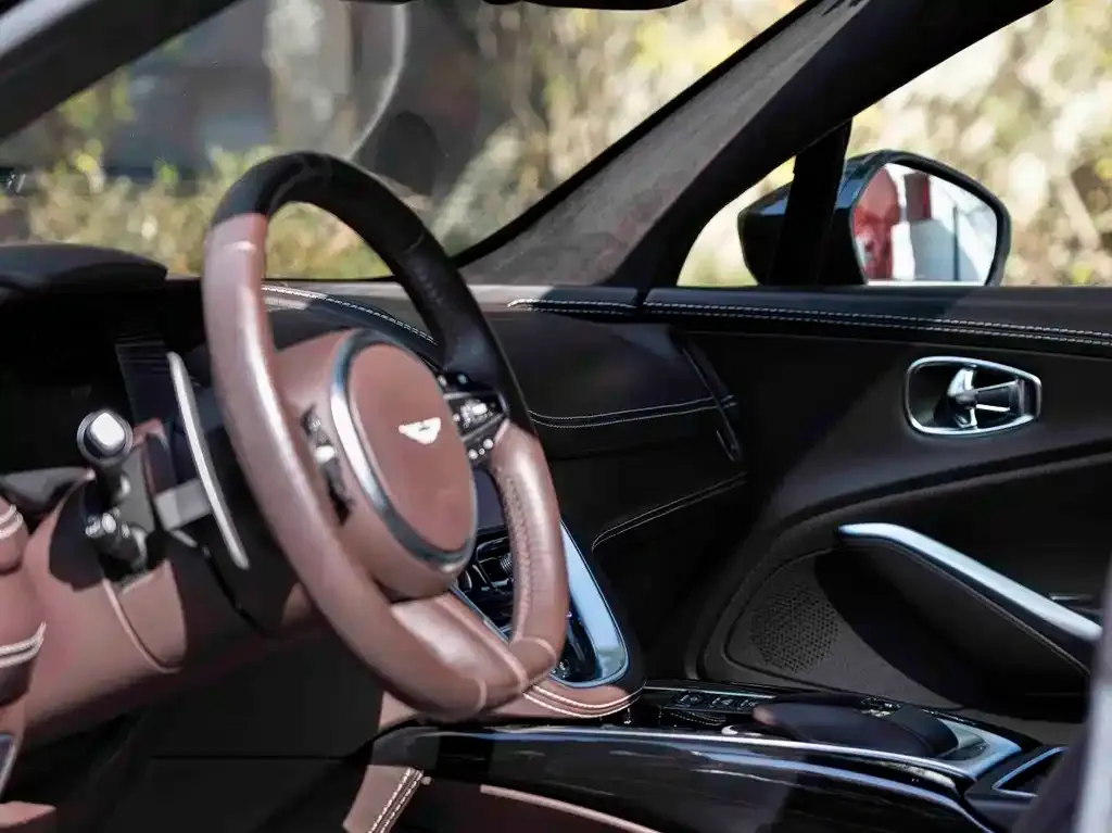 Aston Martin DBX 2021 из CN, фото 2