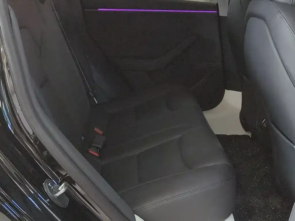 Tesla Model 3 2025 из CN, фото 4
