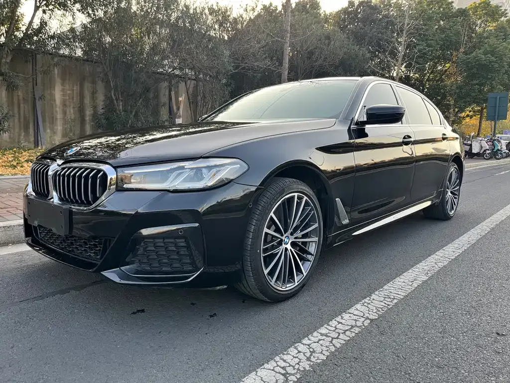 BMW 5 Series 2023 из CN, фото 1