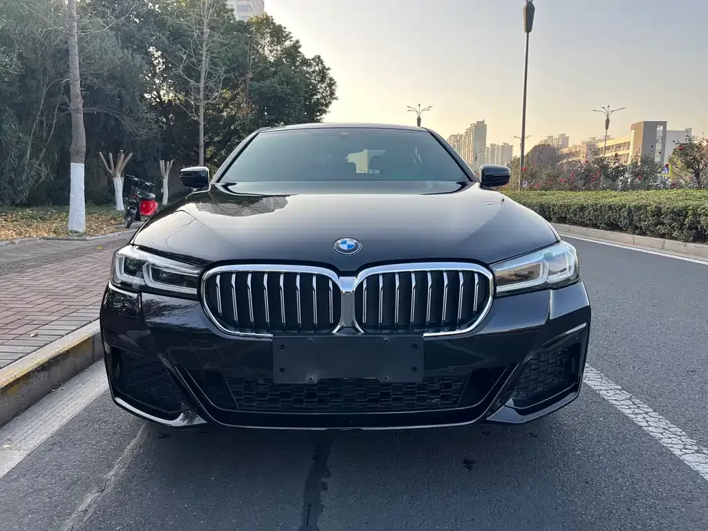 BMW 5 Series 2023 из CN, фото 4