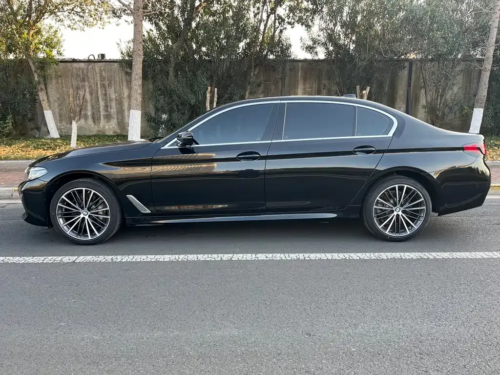 BMW 5 Series 2023 из CN, фото 8